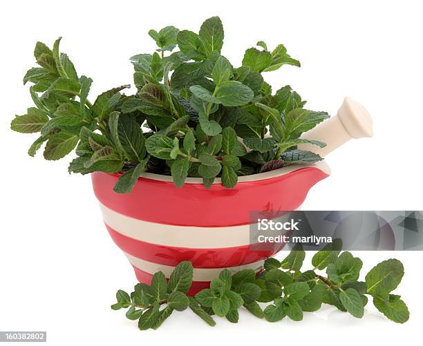 Photo libre de droit de La Menthe Et Aux Herbes banque d'images et plus d'images libres de droit de Aliment - Aliment, Blanc, Condiments et aromates