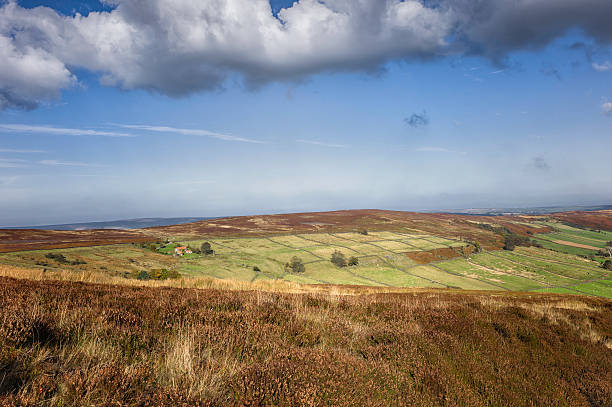 istock North York Moors, Glaisdale, Yorkshire, UK. 160383735