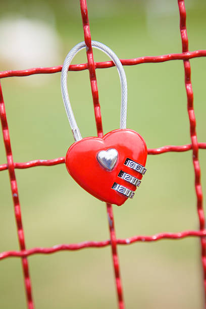 istock Red padlock Heart Shape on the Fence 160384222