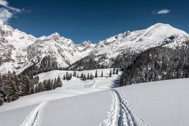 istock Ski tour to Mount Hochkranz 1603850128