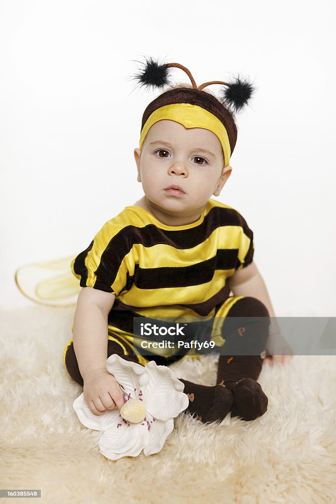 Baby wearing bee costume sitting on the floor Baby wearing bee costume sitting on the floor, holding flower, on white background Bee Stock Photo