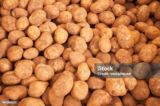 Pilhas De Batatas - Fotografias de stock e mais imagens de Agricultura - Agricultura, Alimentação Saudável, Alimento Básico