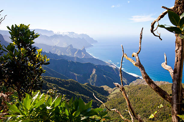 тенерифе, канарские острова, anaga горы, испания - anaga стоковые фото и изображения