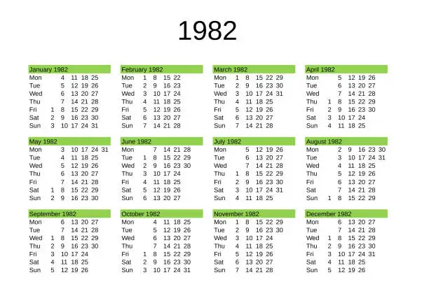 Vector illustration of year 1982 calendar in English