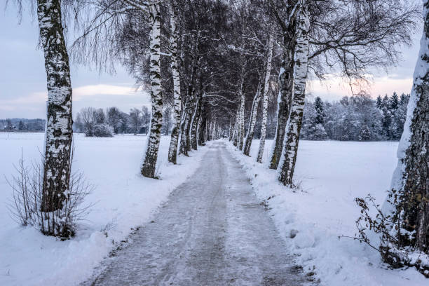istock Winter in Bernau 1603879830