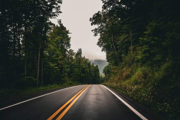 istock Mountain road in West Virginia 1603917649