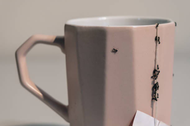 istock Ants on a cup in the house - coming in on a string 1603920119