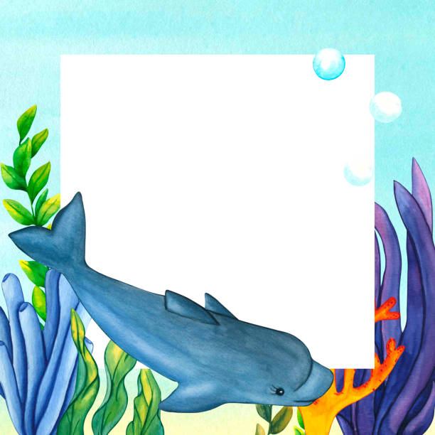 illustrazioni stock, clip art, cartoni animati e icone di tendenza di cornice. acquerello di alghe verdi, delfini, coralli e bolle blu. carattere del mare isolato su sfondo bianco. illustrazioni dipinte a mano erba subacquea per stampa, decorazione e design per bambini - grass family backgrounds sea wind