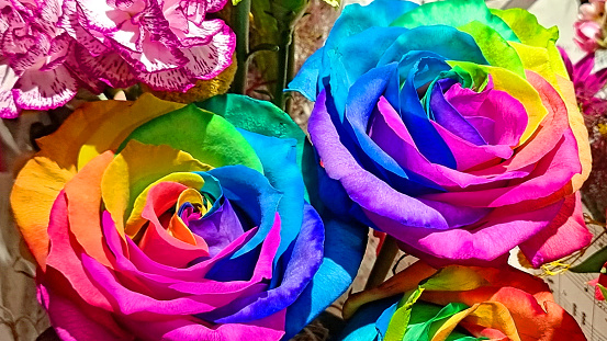 Bouquet with rainbow roses.