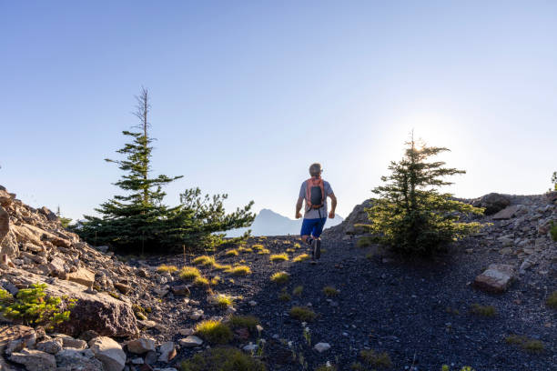 istock Senior male trail runner ascends to mountain ridge 1603934265