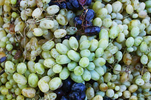 Bunch of green fresh ripe juicy grapes as background, close up.