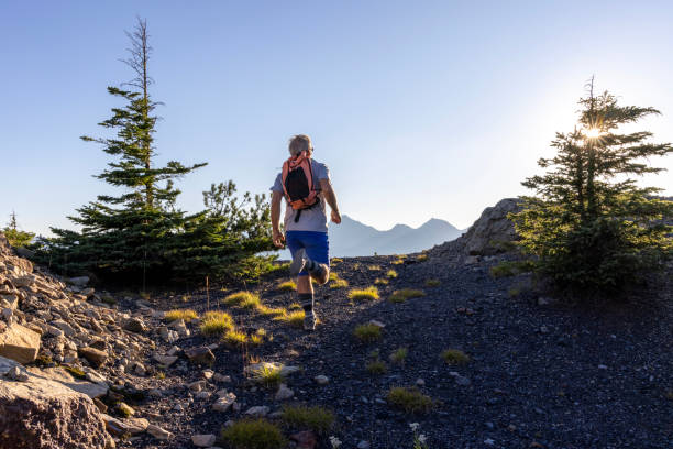 istock Senior male trail runner ascends to mountain ridge 1603937868