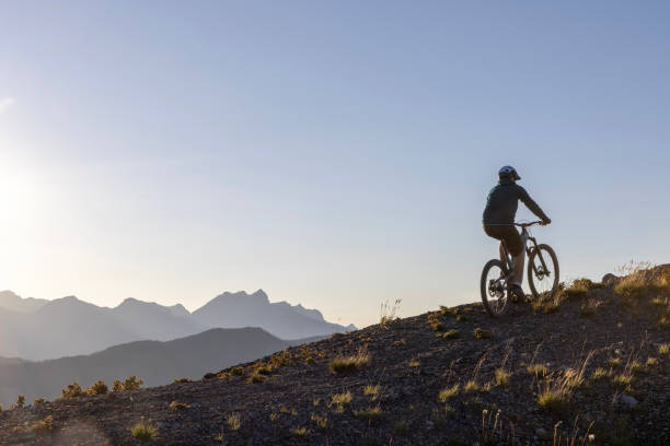 istock Male mountain biker ascends high mountain ridge 1603938922