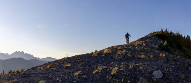 istock Male mountain biker ascends high mountain ridge 1603941040