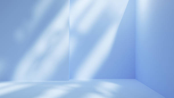 istock Blank blue empty room corner and sunlight with leafs shadows, empty blue copy space background 1603949485