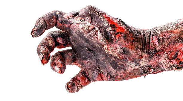 Realistic zombie hand with wounds and blood, isolated white background, copyspace. stock photo