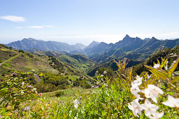 istock Tenerife, Canary Islands, Anaga Mountains, Spain 160399877