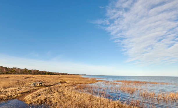 istock Calm beach and sea 1604002601