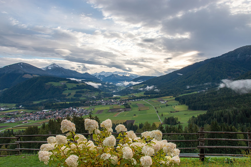 Panoramic View of Mountain in Grindelwald, Switzerland