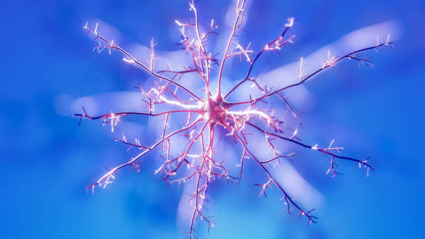 The concept of a biological neural cell network is commonly shown in medical videos through detailed 3D animations that illustrate how neurons transmit electrochemical signals (action potentials) across synapses to communicate with each other.