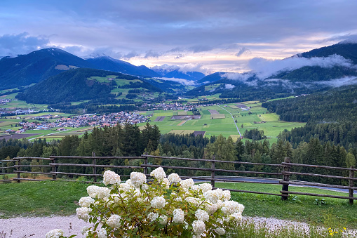 Scenic view of landscape in Puster Valley, South Tyrol, Italy near Olang with hydragea in the foreground