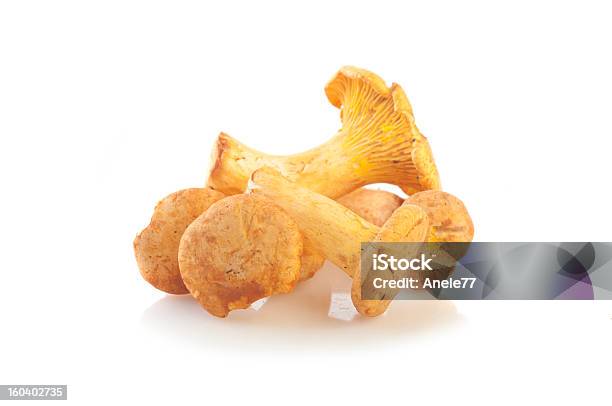 Cogumelo Cogumelo Chanterelle - Fotografias de stock e mais imagens de Alimentação Saudável - Alimentação Saudável, Amarelo, Cogumelo Chanterelle