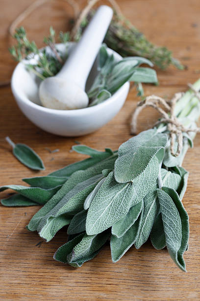 istock Herbs with mortar and pestle 160402993