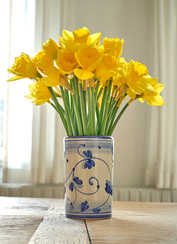 A bouquet of Daffodils in my house