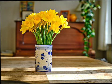 A bouquet of Daffodils in my house