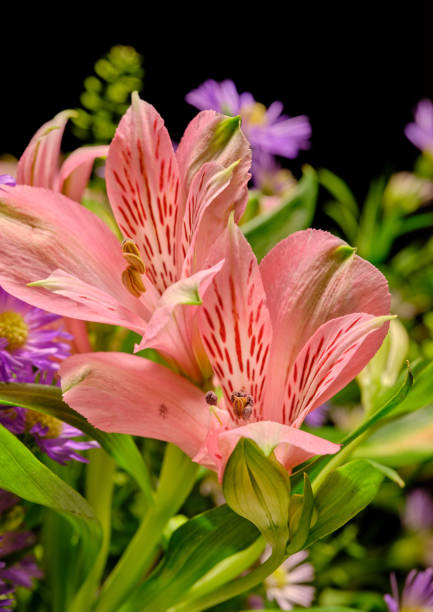 istock Bouquet with different kinds of flowers 1604036576