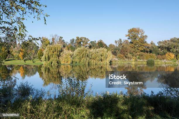 연못 In 추절 0명에 대한 스톡 사진 및 기타 이미지 - 0명, Satoyama - Scenery, 가을