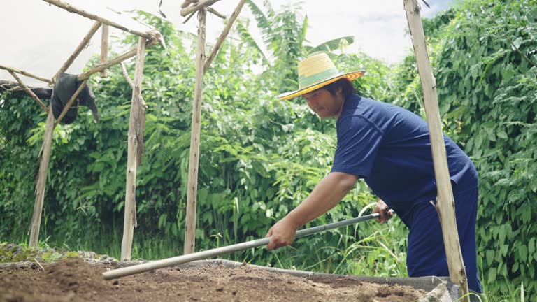 Cultivating Green: Asian Farmer Tends to Soil for Organic Planting at the Farm