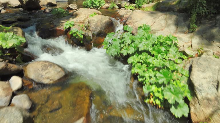 Aerial Beauty of Corlieu Falls - Drone Footage