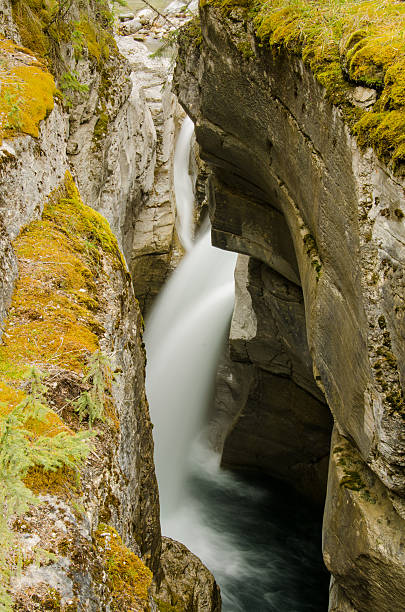 Cтоковое фото Имеются воды в Maligne Каньон