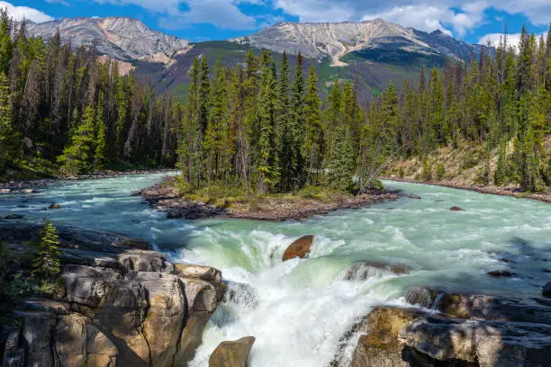 Photo of Athabasca River and Sunwapta Falls, Jasper, Canada