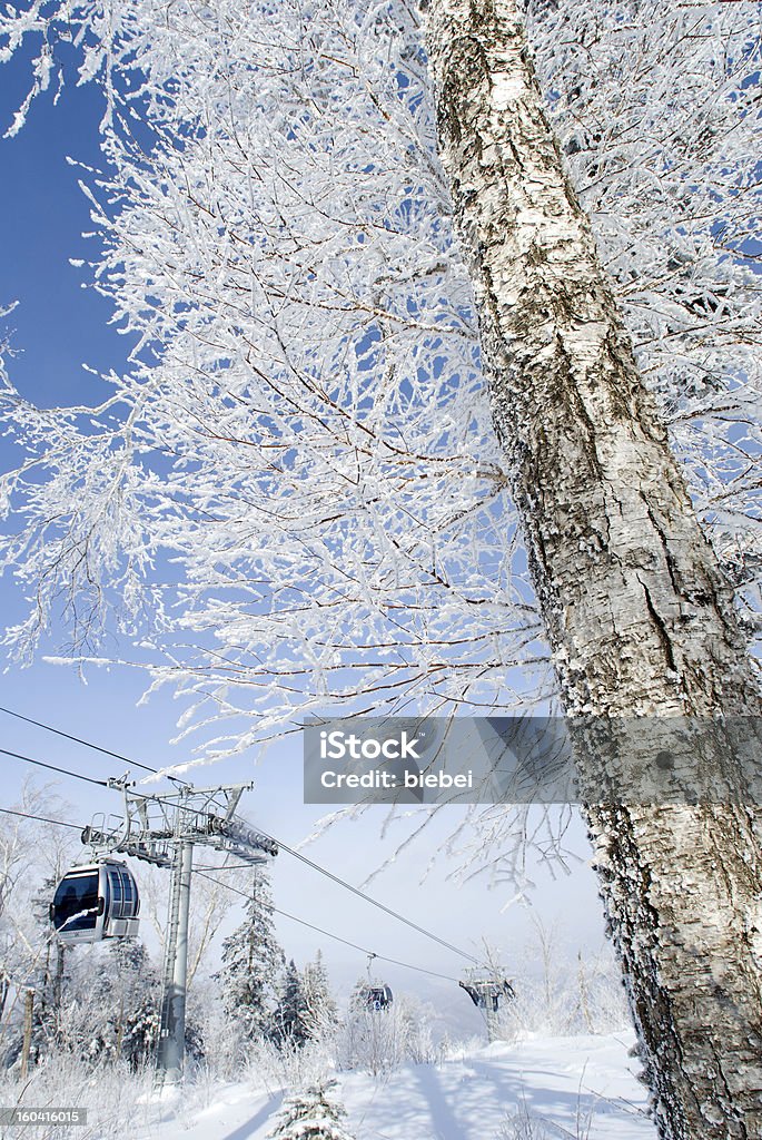 Hoar Frost - Photo de Bleu libre de droits