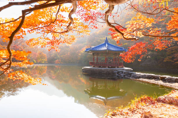 istock Maple scenery of Naejangsan Mountain 1604163270