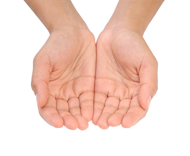 istock Cupped hands of young woman isolated on white background 160419138