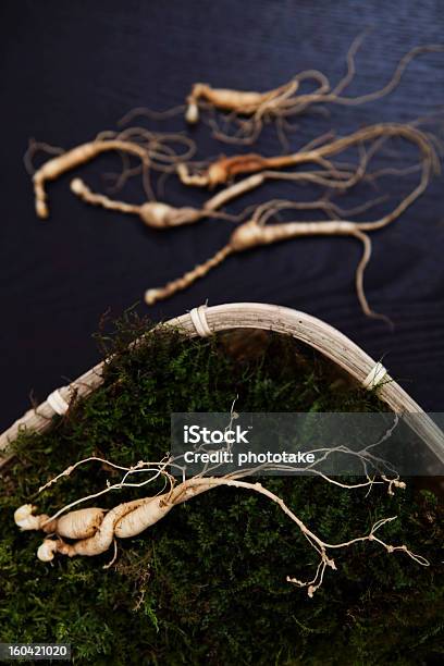 Foto de Ginseng Selvagem e mais fotos de stock de 6-7 Anos - 6-7 Anos, Comida, Escorredor