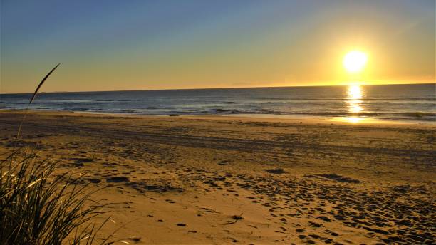 istock Sunrise on the beach 1604212009