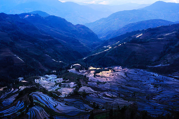 terraces noite - agriculture artificial yunnan province china imagens e fotografias de stock