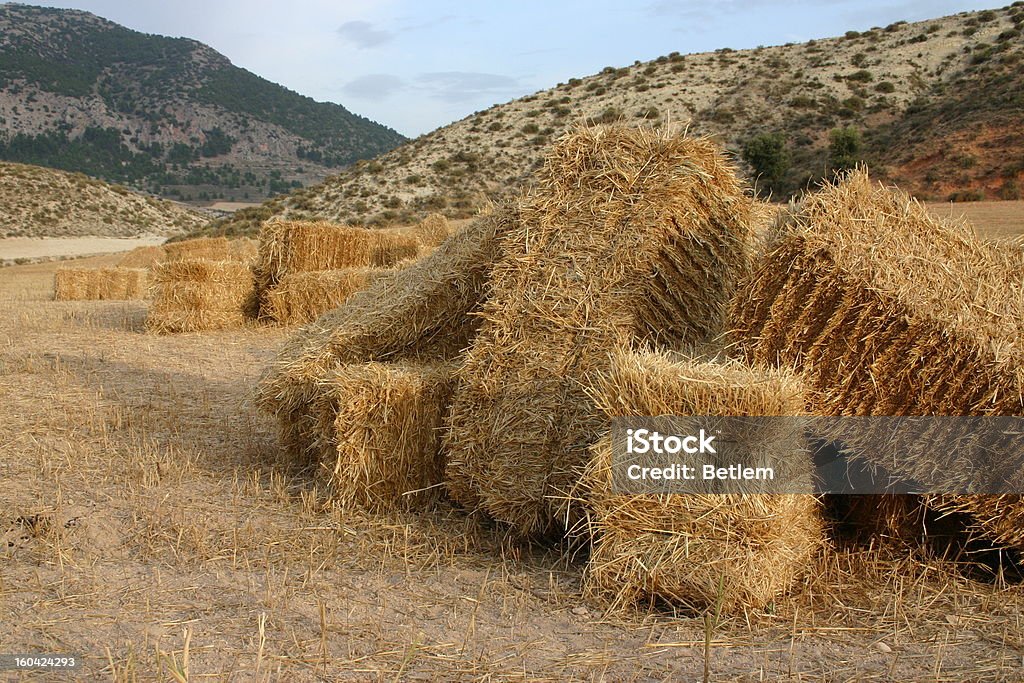 balas de paja bales de paja - Foto de stock de Aire libre libre de derechos