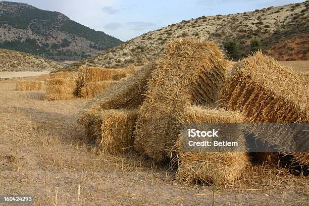 Balas De Paja Bales De Paja Foto de stock y más banco de imágenes de Aire libre - Aire libre, Bala - Cultivado, Campo - Tierra cultivada