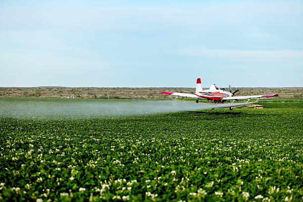 Crop Dusting stock photo