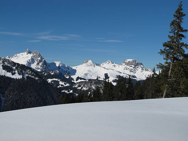 istock Winter Scene In The Bernese Oberland 160428837