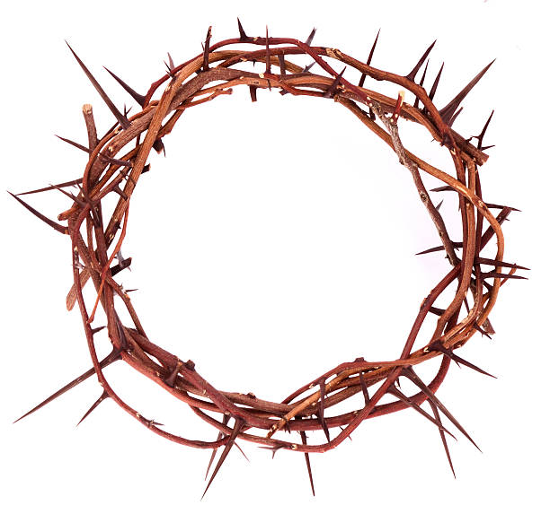 istock A crown of thorns on a white background 160429034