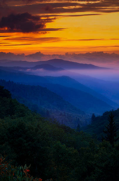 pôr do sol no smokies - great smoky mountains great smoky mountains national park mountain smoke imagens e fotografias de stock