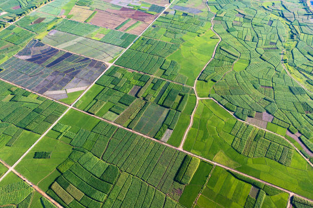 istock Farmland and fields in Yunnan, China. 1604312277