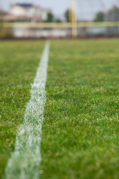 istock White line on a soccer field 160431399
