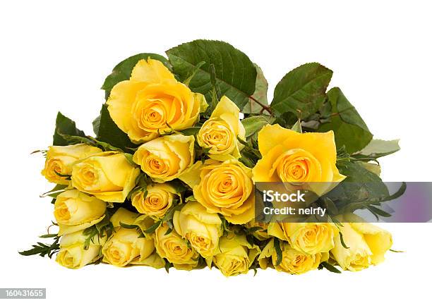 Photo libre de droit de Roses Jaunes banque d'images et plus d'images libres de droit de Arbre en fleurs - Arbre en fleurs, Beauté de la nature, Blanc